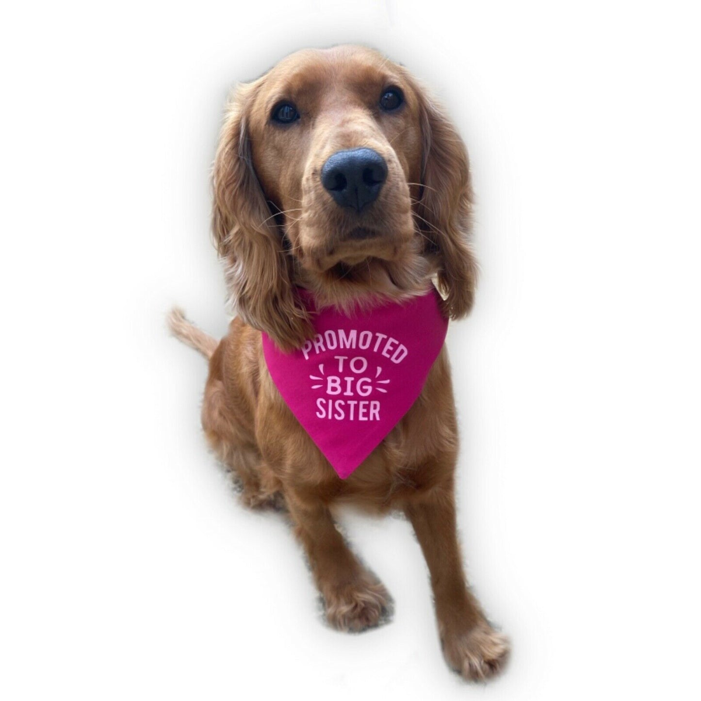 Promoted to Big Brother / Sister Bandana