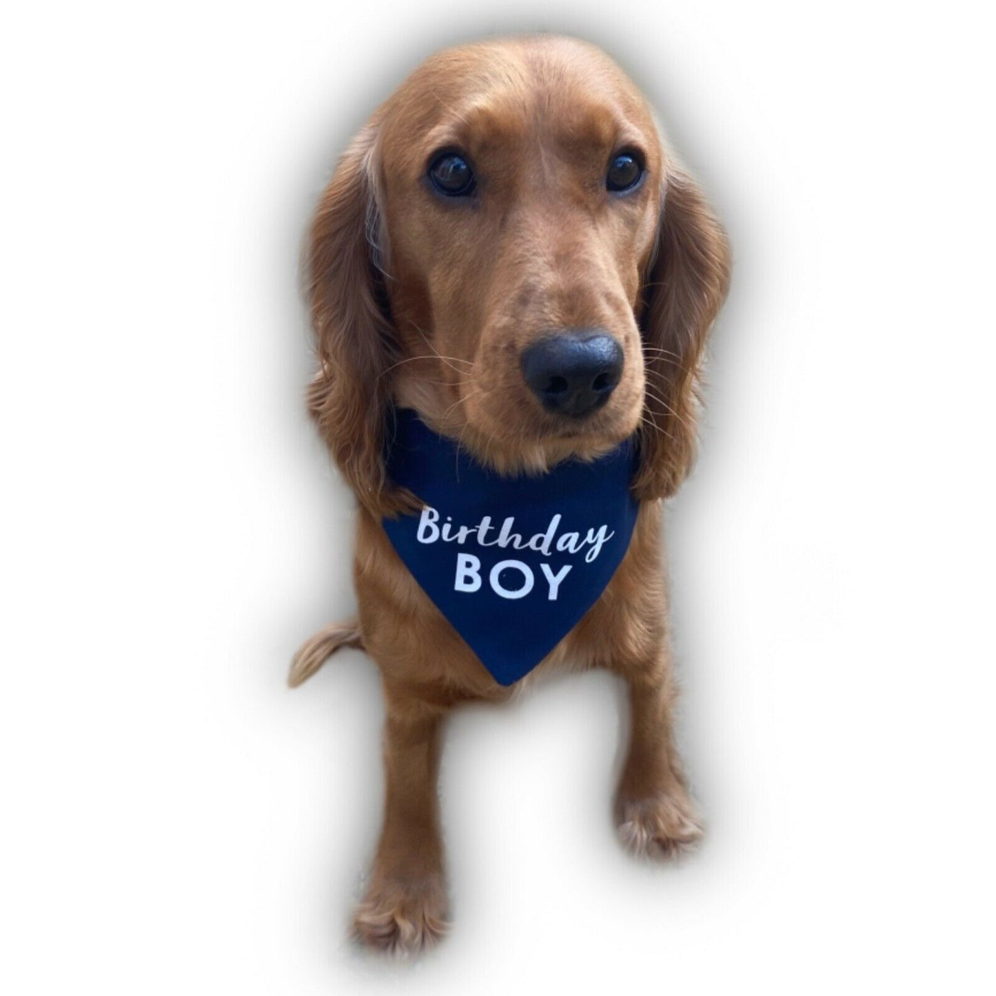 Birthday Girl / Boy Bandana