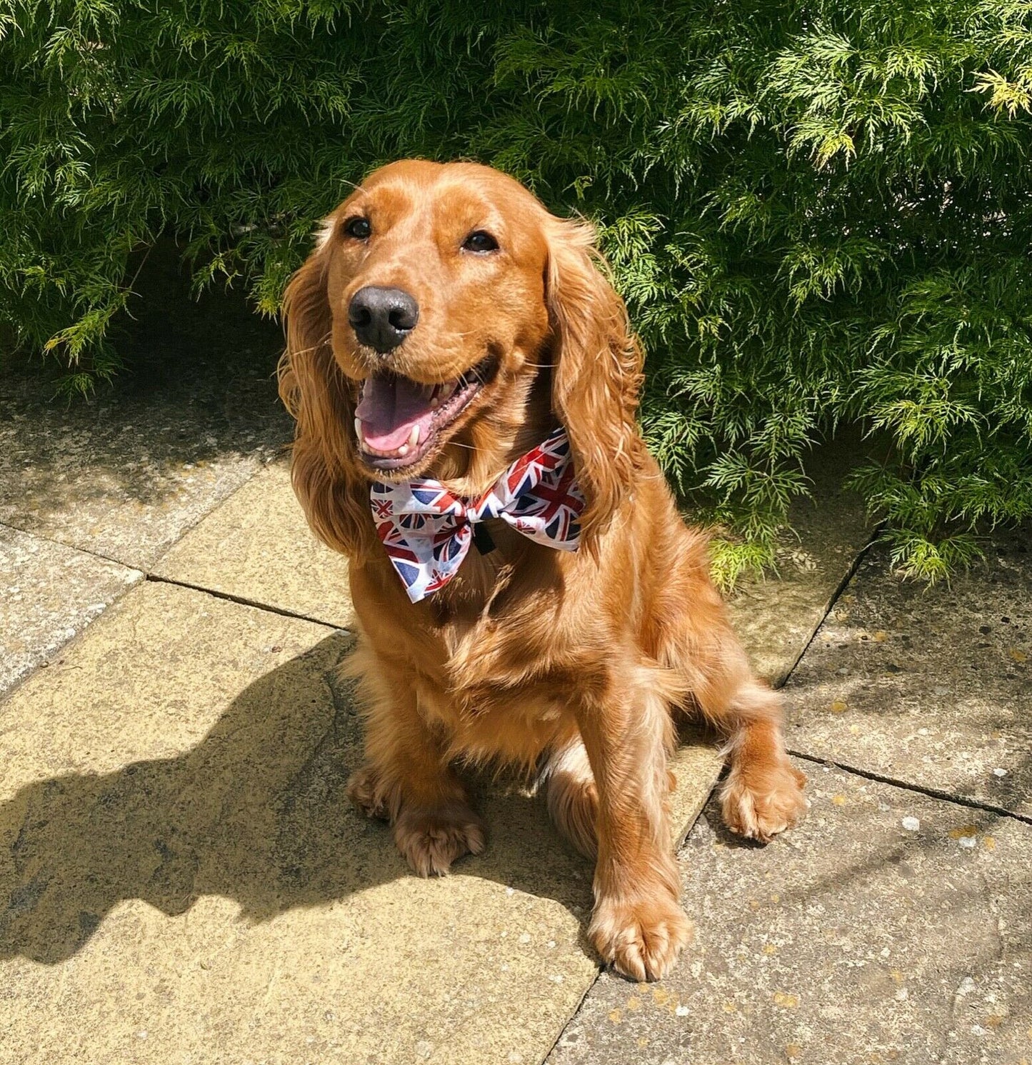 Union Jack Heart Flag Uk Jubilee Dog Pet Bow Tie Bowtie