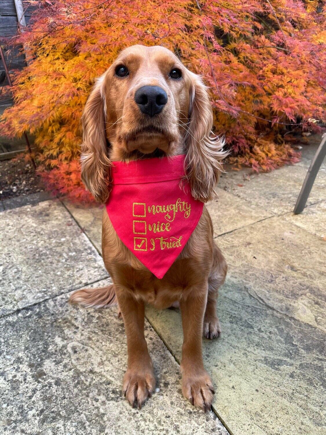 Christmas Dog Bandana with Neck Tie