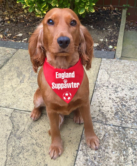 Football Suppawter Bandana