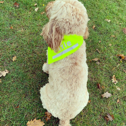 Hi Viz High Visibility Bandana