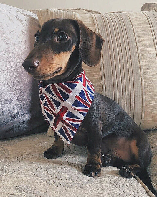 Union Jack Flag Bandana