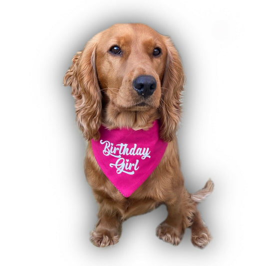 Birthday Girl / Boy Bandana