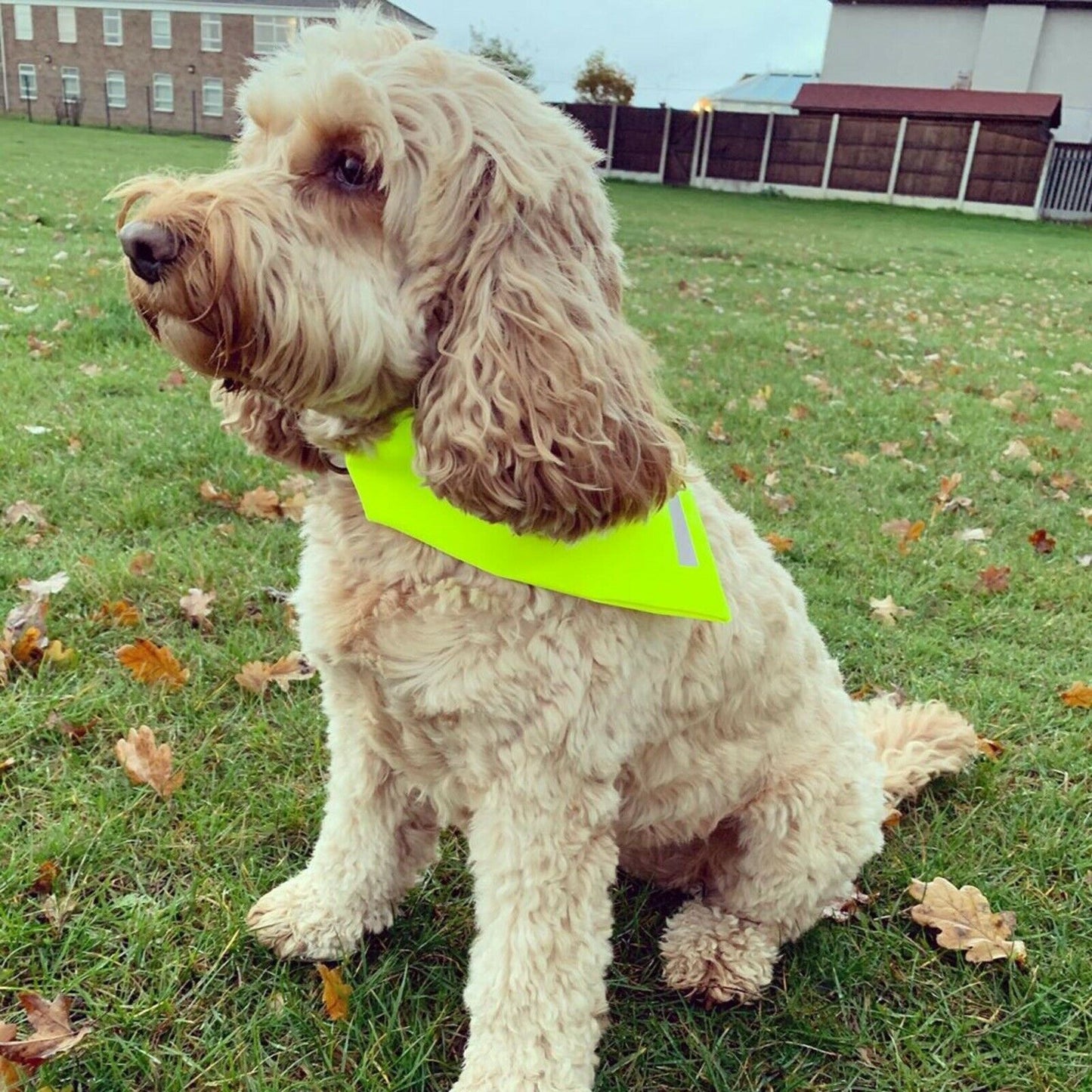 Hi Viz High Visibility Bandana