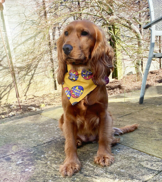 Easter Good Egg Dog Bandana