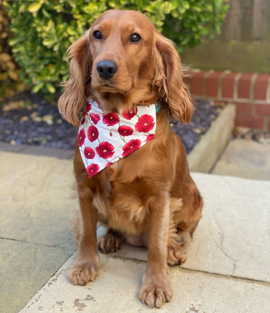 Handmade Dog Scarf Poppy Bandana White with Poppies