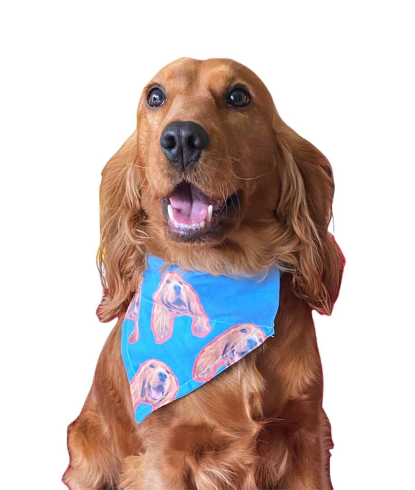 Your Pet’s Face on Bandana