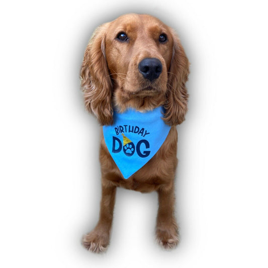 Birthday Dog Bandana