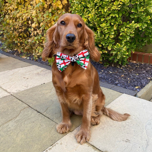 England Football Flag Dog Pet Bow Tie Bowtie World Cup