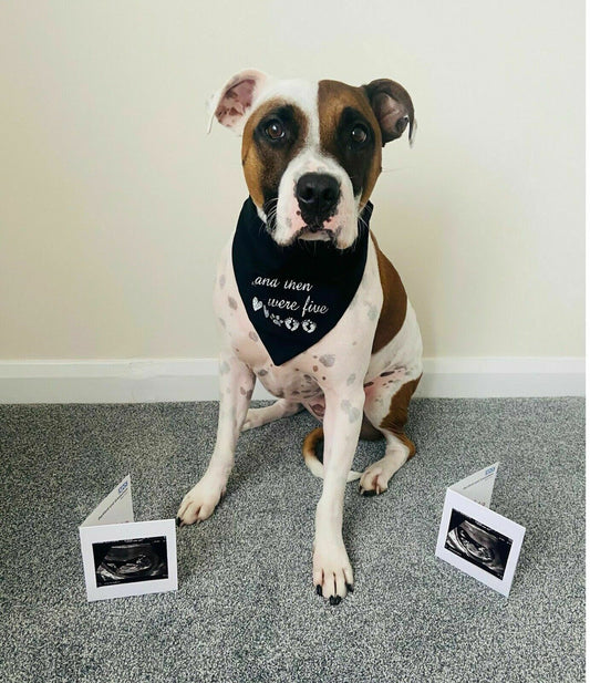 And Then There Were ...