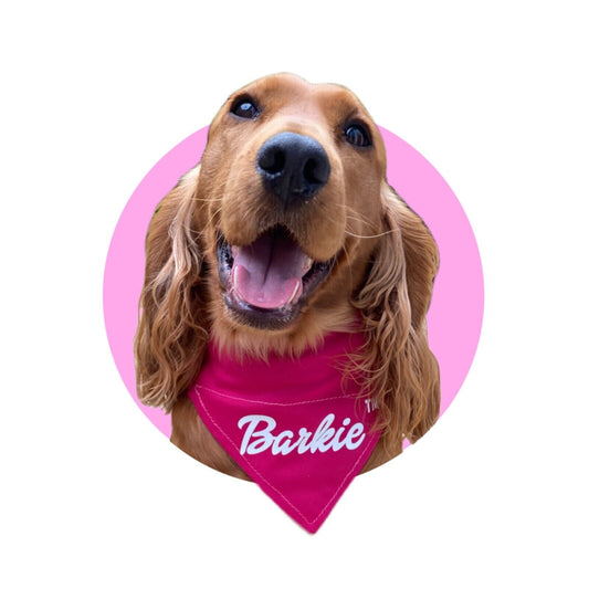 Barkie Pink Bandana