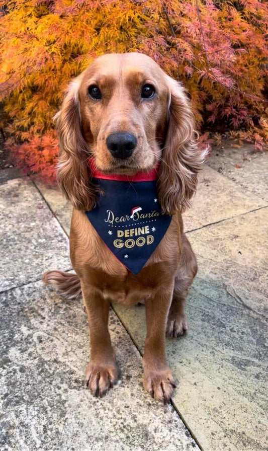 Christmas Dog Bandana with Neck Tie